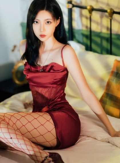 间谍过家家第一季免费观看中文